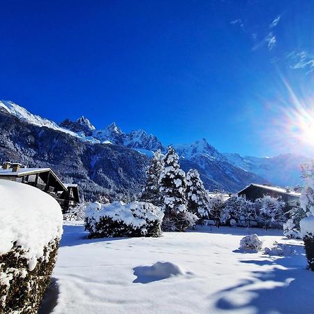 Chamonix Appartement Vue Mont Blanc Avec Jardin المظهر الخارجي الصورة