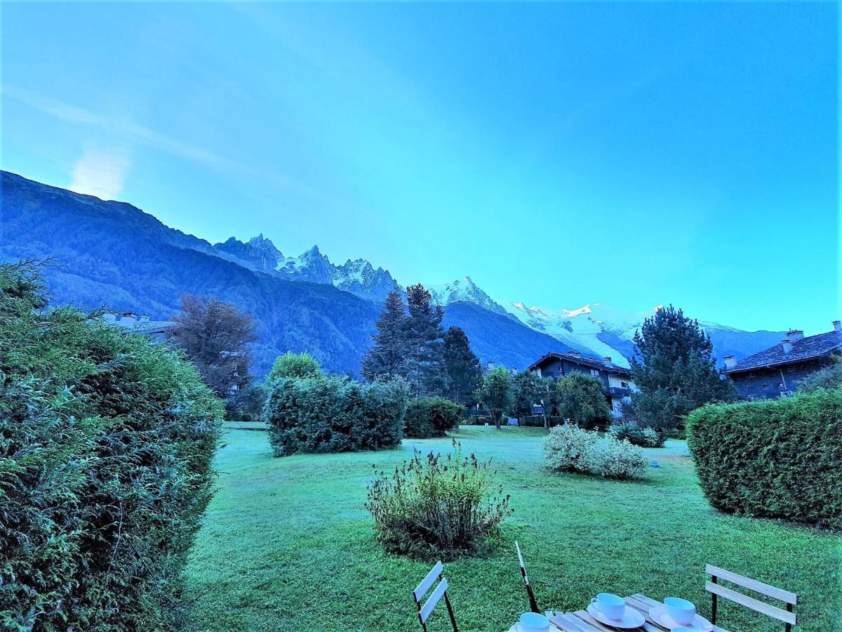 Chamonix Appartement Vue Mont Blanc Avec Jardin المظهر الخارجي الصورة