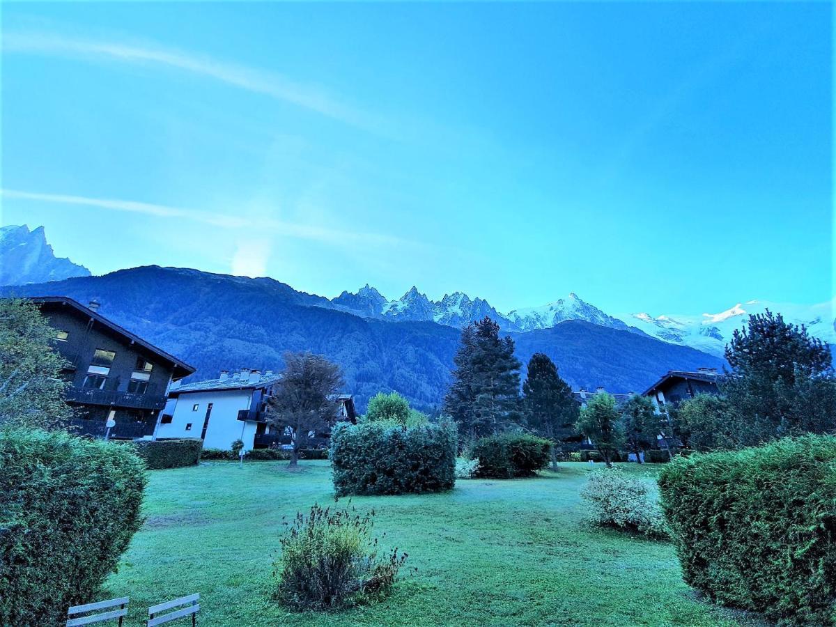 Chamonix Appartement Vue Mont Blanc Avec Jardin المظهر الخارجي الصورة