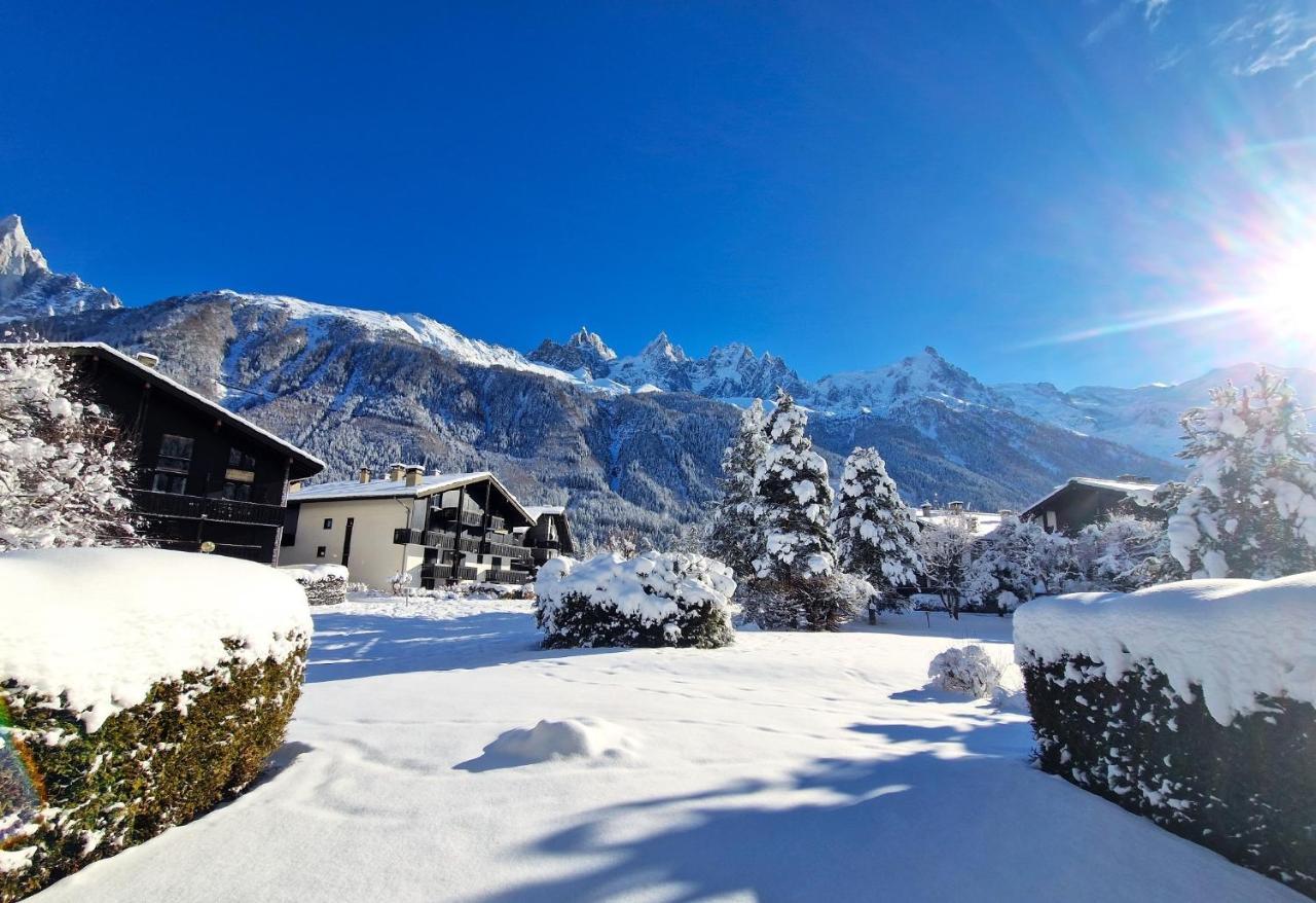 Chamonix Appartement Vue Mont Blanc Avec Jardin المظهر الخارجي الصورة